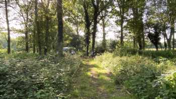 Stuarts Wood Campsite