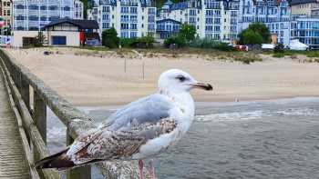 Strand Bansin