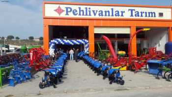 Pehlivanlar