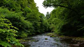 Roslin Glen Country Park