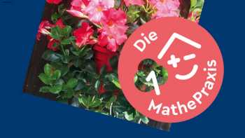 Die MathePraxis