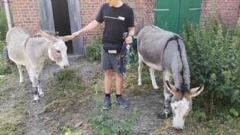 Lerntherapie / tiergestützte Sozialarbeit Jessica Volk