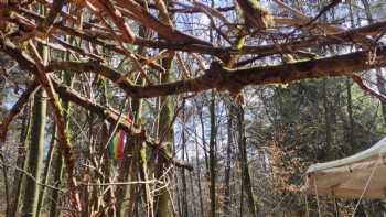 Waldkindergarten Fürstenau