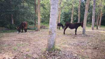 Granja Escuela &quotLa Guarida del Lobo"