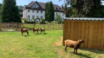 Bildungs und Begegnungshaus Jugendkloster Ahmsen