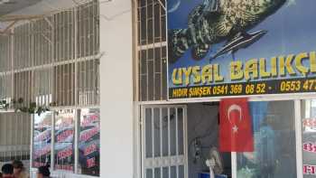 Uysal Balıkçılık