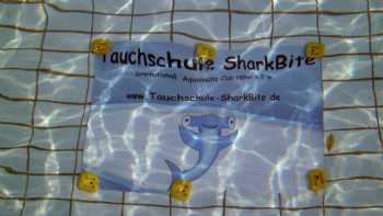 Tauchschule SharkBite