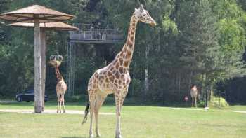 Serengeti Park Hodenhagen - &quotSafari Adventure in the middle of Europe"