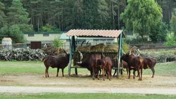 Serengeti Park Hodenhagen - &quotSafari Adventure in the middle of Europe"