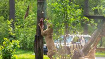 Serengeti Park Hodenhagen - &quotSafari Adventure in the middle of Europe"