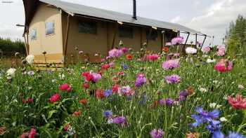 Tall Trees Glamping