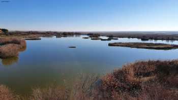 Lagunas de Villafáfila