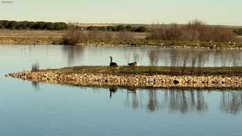 Lagunas de Villafáfila