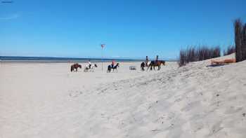 Maritime Museum - Tourist service Langeoog