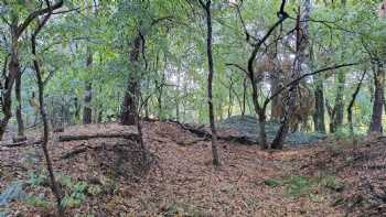 RAUZWI - Lebendige Archäologie Mittelweser e.V.