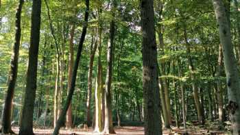 Ev. Kita am Wald Lilienthal