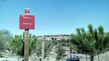 Colegio de Educación Infantil y Primaria Matilde Ledesma Martín