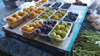 Fruit And Species Market