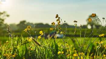 Walnut Tree Farm Camping, Shepherds Huts & Bunk House