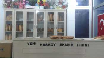 Hasköy Ekmek Fabr.