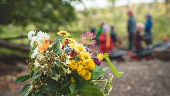 Waldkindergarten Moltebeere