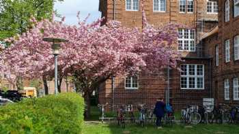 Campus Rotes Feld