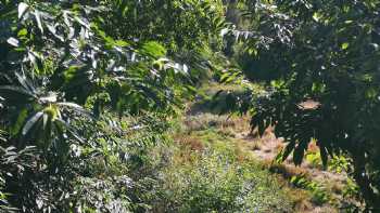 Eirado de Bouza Rica