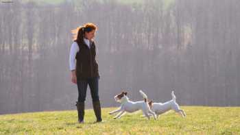 Jagdhundeschule Iris Eberwien