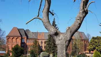 Fachhochschule Hildesheim-Holzminden Fachbereich Sozialpädagogik