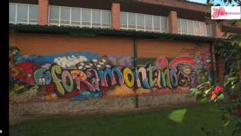 IES Foramontanos