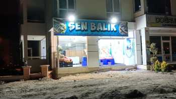 Şen balık