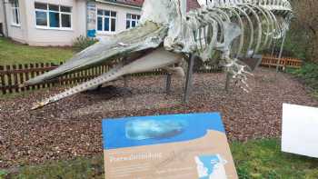 Nationalpark-Haus Wangerooge