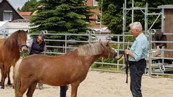 Wolsdorfer Ponyschule