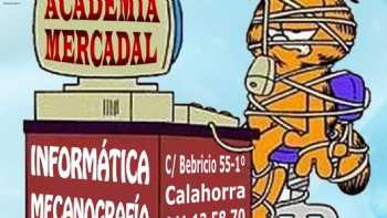 Academia Mercadal