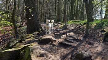 Birchwood Farm Caravan Park