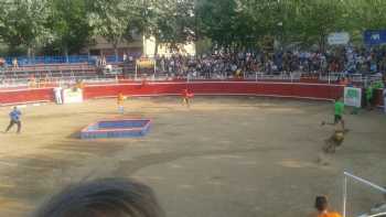 Cenicero Plaza de Toros