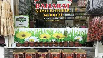 Asarkaya Baharat ve Şifalı Bitkiler