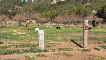 Colegio Público de Educación Especial Marqués de Vallejo