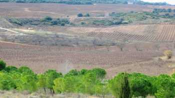 Instituto de Ciencias de la Vid y del Vino (ICVV)