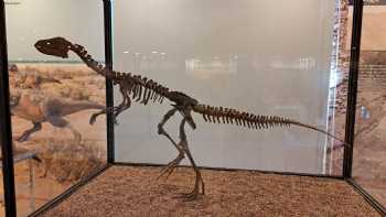 Paleontological Interpretation Center of La Rioja