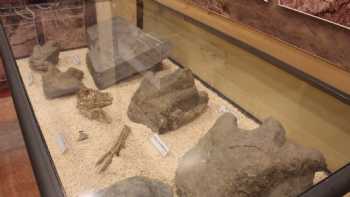 Paleontological Interpretation Center of La Rioja