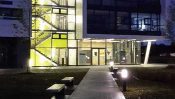 Augsburg Business School - Steinbeis IFEM