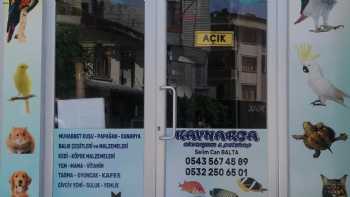 Kaynarca Akvaryum & Petshop