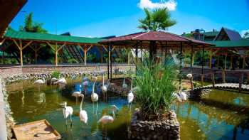 Flamingo Park