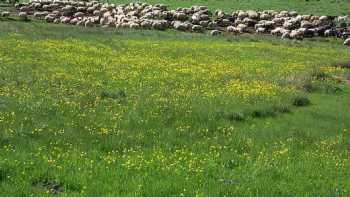 Hangeri Mez. İlkokulu