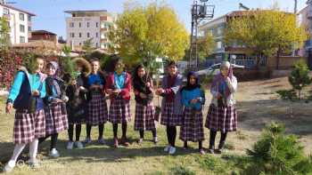 Şehit Mehmet Güngördü İmam Hatip Ortaokulu