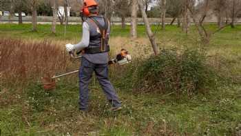 Taller de empleo Benestar i Natura II