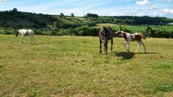 White Horse Equestrian Centre & Long River Farm Camping