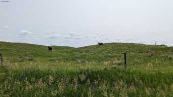 Barta Brothers ranch UNL