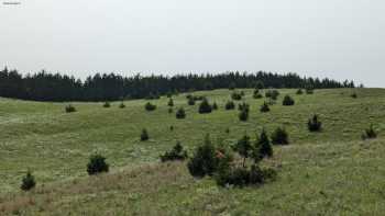 Barta Brothers ranch UNL